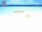 CHIEF研究